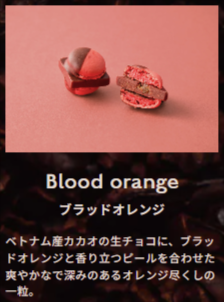 MAMEIL-–-MAMEIL-NAMA-CHOCOLATE-MACARON-マメイル-生チョコレートマカロン専門店-12-26-2025_07_41_PM