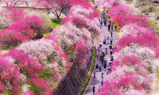 mökki（モッキ）～STARDUST-GLAMPING～【長野】-グランピング予約ならリゾグラ！独占掲載施設-体験記を多数掲載！リゾートグランピングドットコム-02-28-2026_06_03_PM